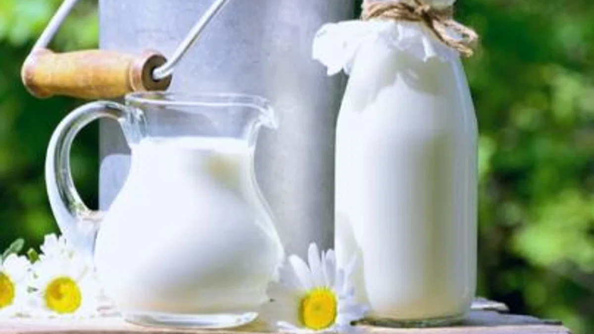 Çiğ süt primi litre başına 1 TL olacak
