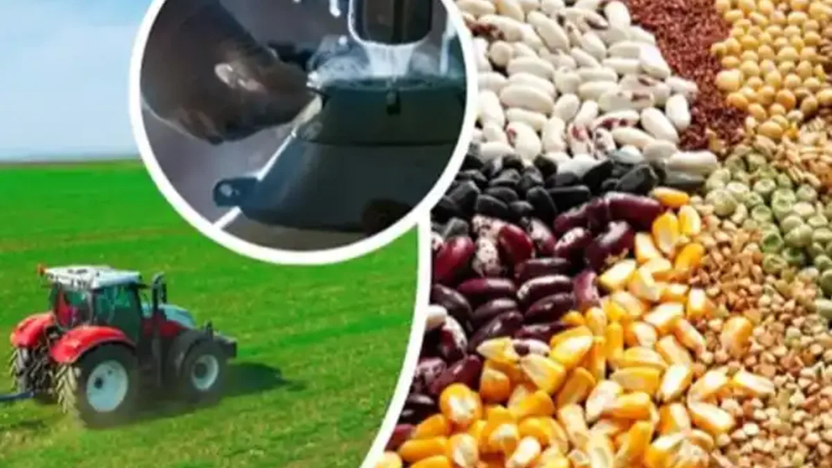 Tarımsal 3,3 milyar TL'ik destek hesaplarda
