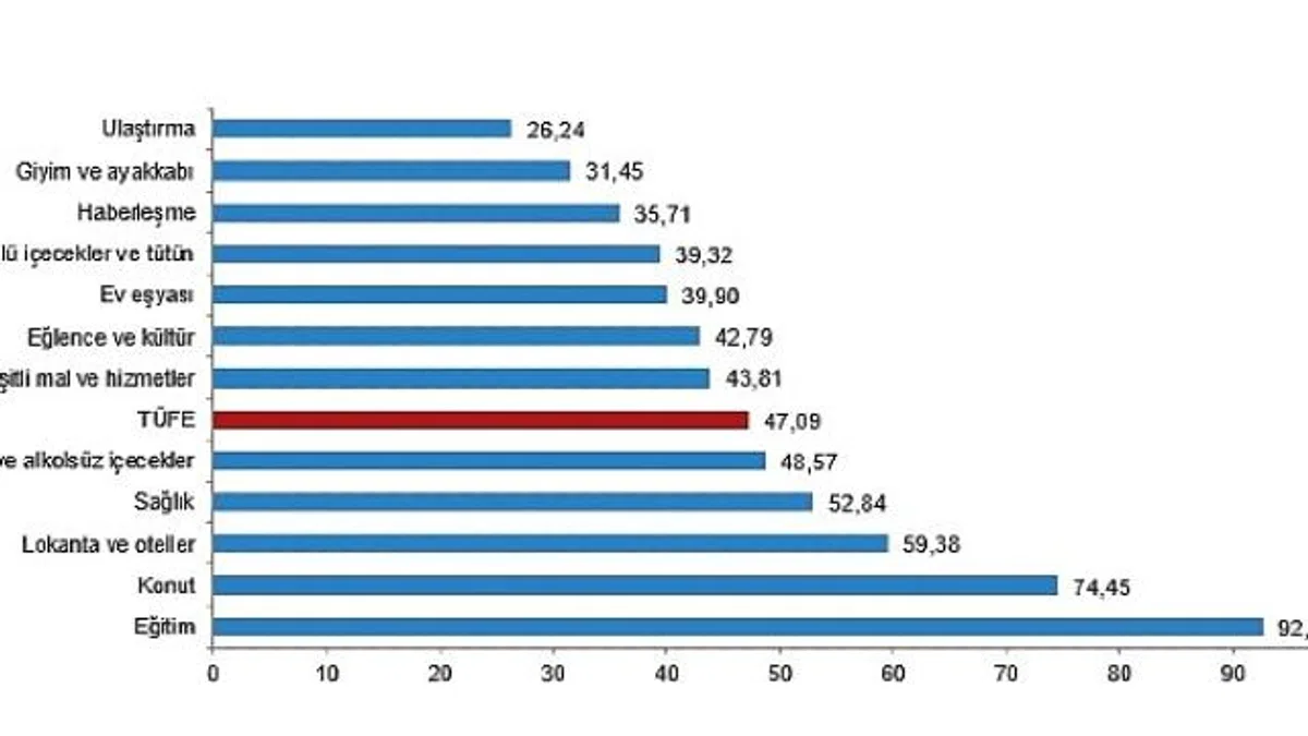 Tüik Tüketici fiyat endeksi (TÜFE) yıllık %47,09, aylık %2,24 arttı
