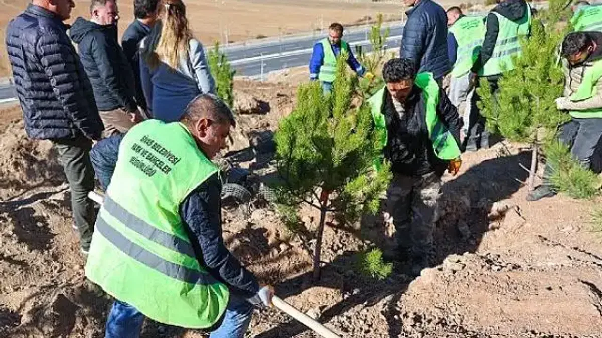 Sivas Belediyesi anlamlı bir çalışmaya imza atarak mevsimlik işçiler adına hatıra ormanı oluşturdu.