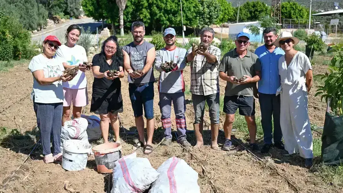 Mersin'de enginar üretimini yaygınlaştırıyor