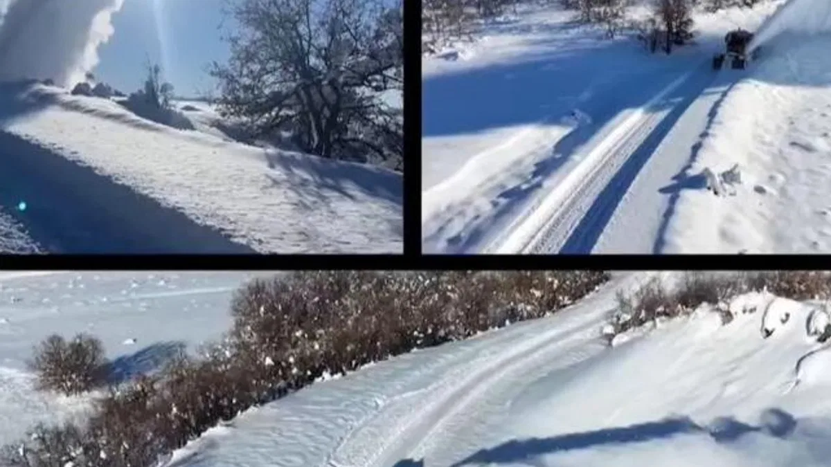 Tunceli'de karla mücadele: 223 köy yolu açıldı