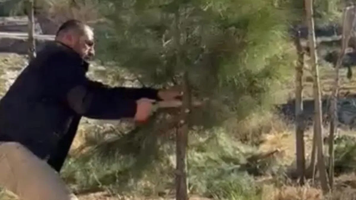 Mardin Artuklu'da muhtar kendi elleriyle ağaçları budadı
